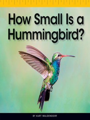 cover image of How Small Is a Hummingbird?